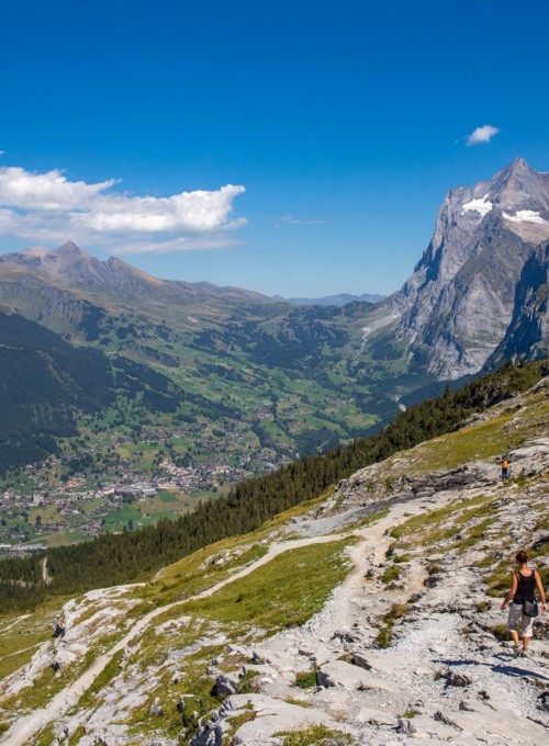 Hikers traverse a rocky path in the Alps, vibrant greens and rugged peaks providing an adventurous ambiance for outdoor enthusiasts.