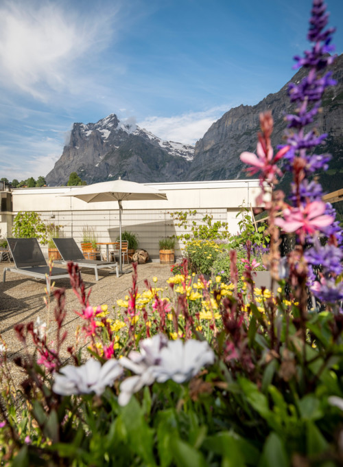 Vibrant rooftop garden with a backdrop of majestic snow-capped mountains, evoking peace and inspiration for nature lovers.