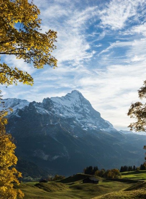 Golden autumn leaves and sunlit mountain peaks, evoking a sense of peace and awe for nature enthusiasts.