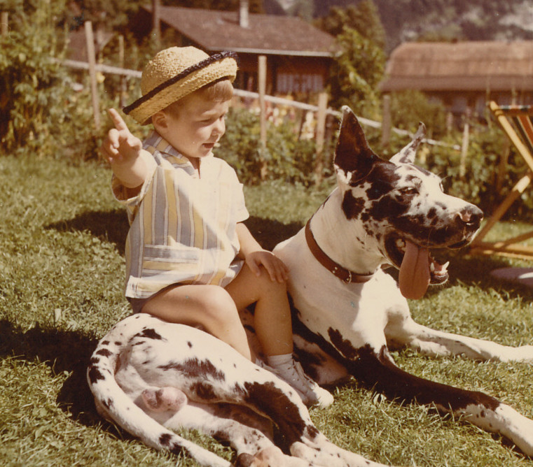 Child in a straw hat and striped shirt enjoys a peaceful moment with a large, resting Dalmatian in a sunlit garden, capturing a nostalgic and serene outdoor leisure scene.