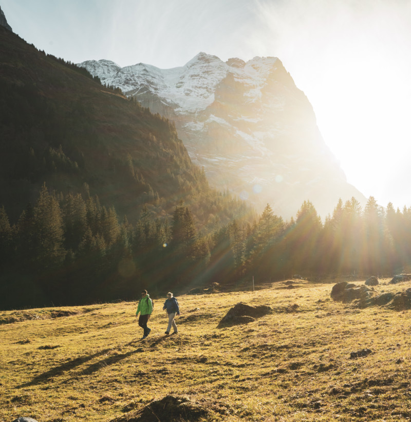 Wandern Schwarzwaldalp