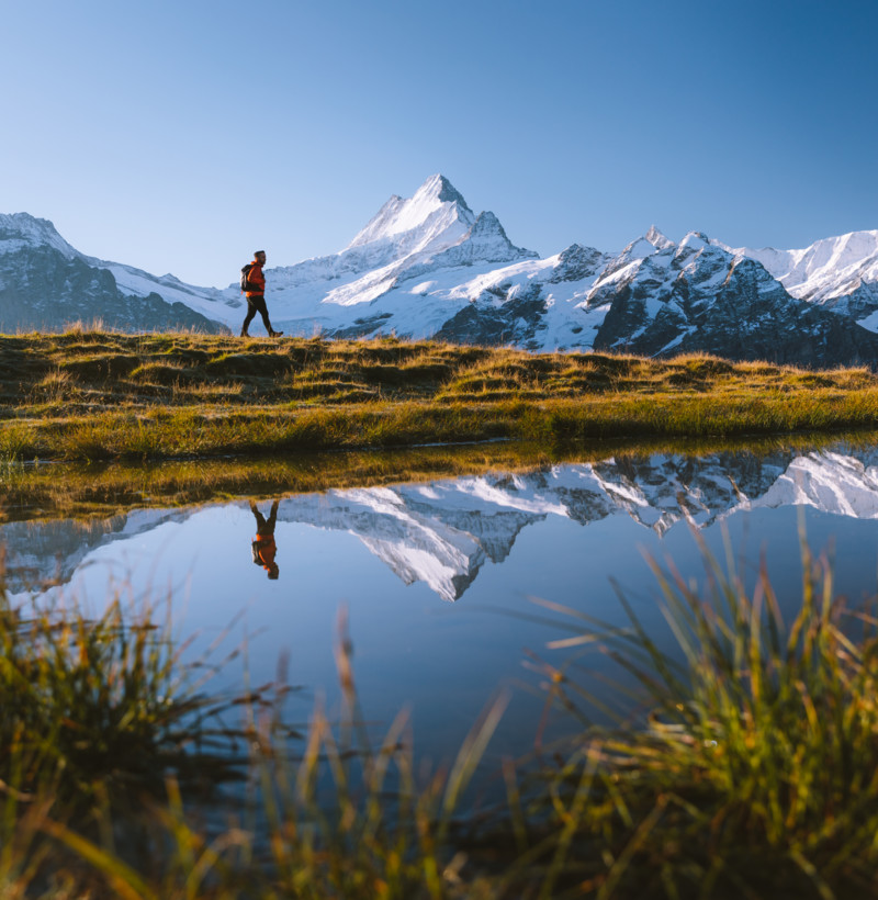 Wanderung beim Bachalpsee