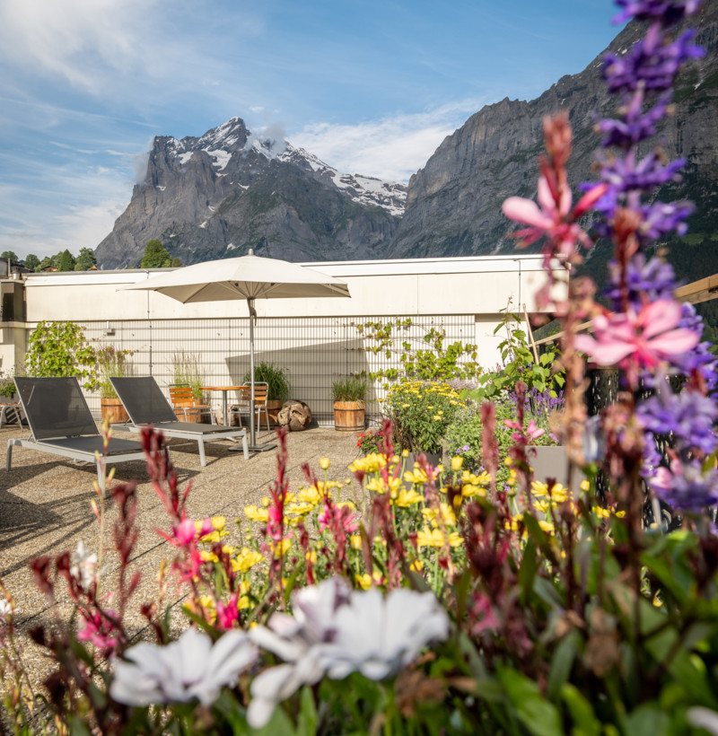 Alpine-view garden terrace with vibrant flowers and modern lounge area, creating a serene escape for relaxation and nature enthusiasts.