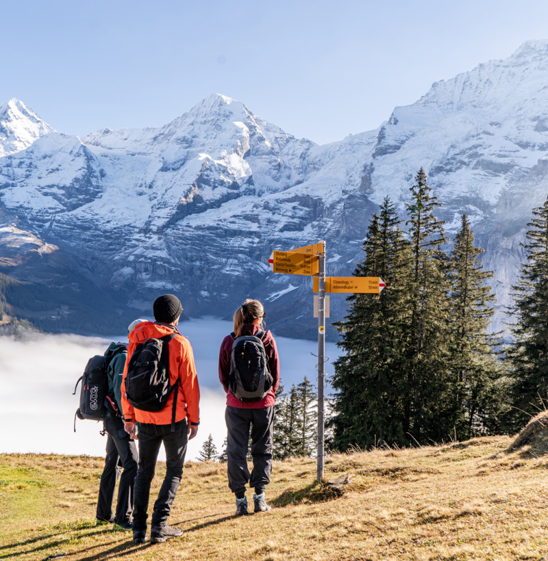 Wandern über dem Nebelmeer in Mürren