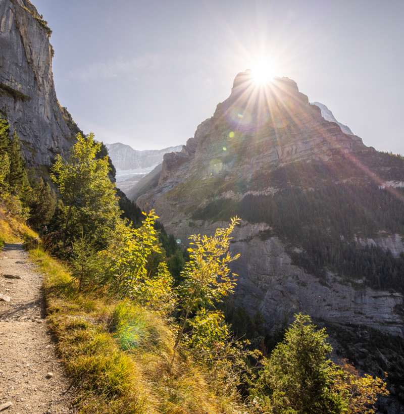 Bäregg Grindelwald