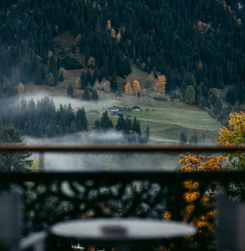 Misty autumn landscape viewed from a balcony, featuring vibrant fall trees against a serene mountain backdrop, ideal for travel and nature themes.